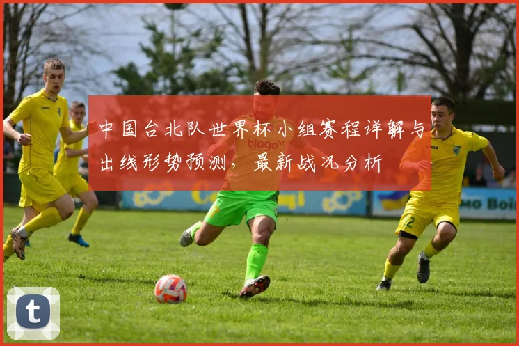 中国台北队世界杯小组赛程详解与出线形势预测，最新战况分析